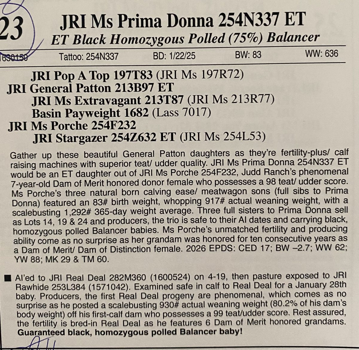 Judd Ranch sale catalog page for JRI Ms Prima Donna 254N337 ET, a Balancer female