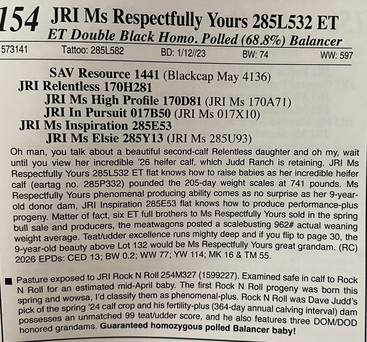 Judd Ranch sale catalog page for JRI Ms Respectfully Yours 285L532 ET, a Balancer female